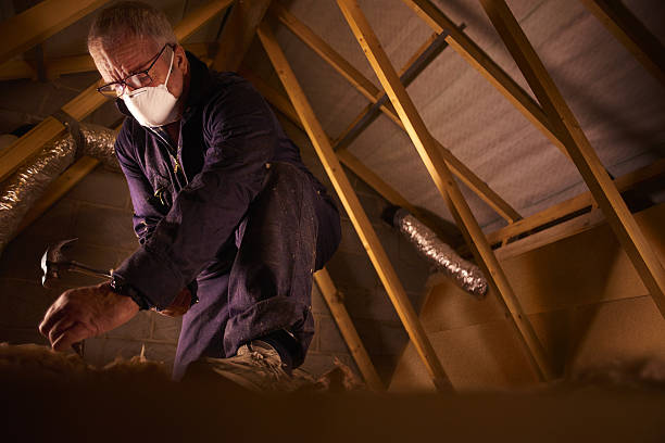 Best Geographic-Specific Insulation Services in Minden, NE